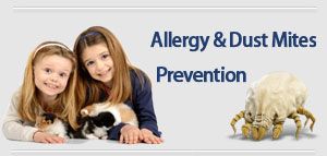 house-cleaning-services